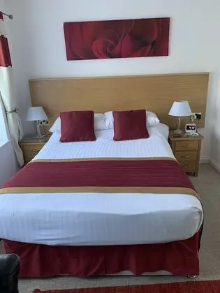 Standard Tek Büyük Yataklı Oda, 1 Çift Kişilik Yatak