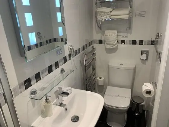 Standard Tek Büyük Yataklı Oda, 1 Çift Kişilik Yatak