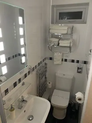 Superior Tek Büyük Yataklı Oda, 1 En Büyük (King) Boy Yatak, Engellilere Uygun