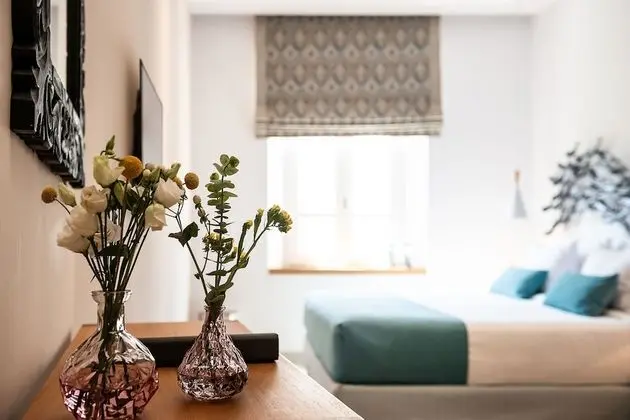 Deluxe Stüdyo Süit (Phaedra)