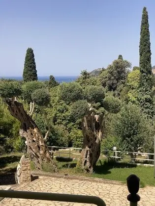 Stüdyo, Deniz Manzaralı, Zemin Kat