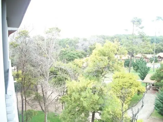 Family Ortak Ranzalı Oda, Birden Çok Yatak
