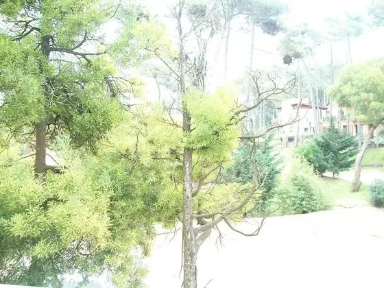 Family Ortak Ranzalı Oda, Birden Çok Yatak