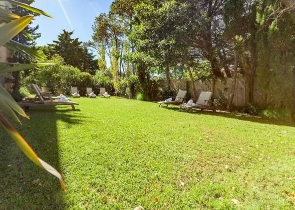 Luxury Tek Büyük veya İki Ayrı Yataklı Oda