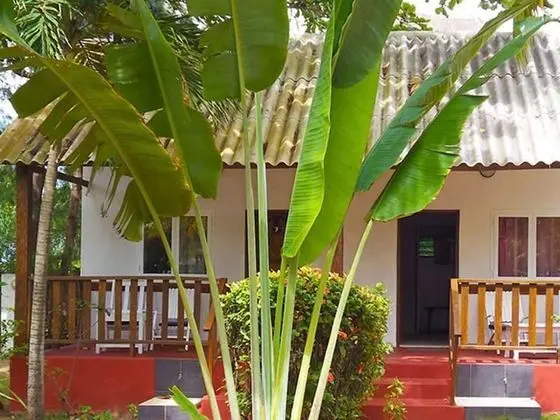 Standard Bungalov, 1 Çift Kişilik Yatak, Teras, Deniz Manzaralı