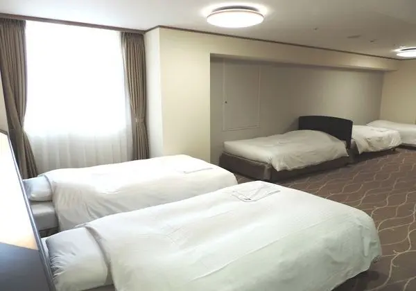 Deluxe İki Ayrı Yataklı Oda, Sigara İçilmez (with 2 Sofa Beds)