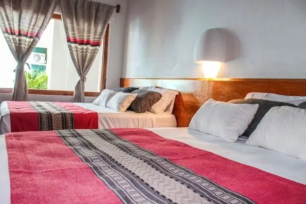 Standard Tek Büyük Yataklı Oda, 2 Çift Kişilik Yatak, Bahçe Manzaralı