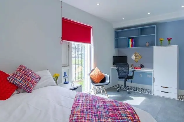 Deluxe Stüdyo, 1 Tek Kişilik XL Yatak, Şehir Manzaralı