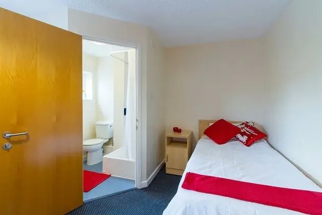 Deluxe Stüdyo, 1 Tek Kişilik XL Yatak, Şehir Manzaralı