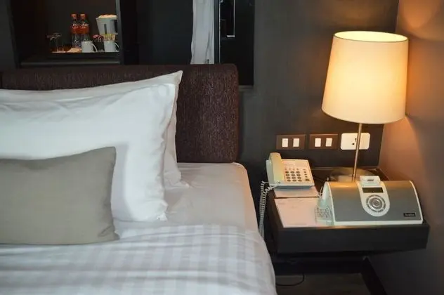 Deluxe Oda, 1 En Büyük (King) Boy Yatak, Şehir Manzaralı
