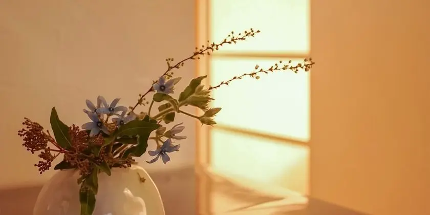 Ev (Private Vacation Home)