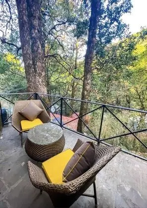Deluxe Kır Evi
