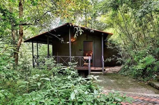 Machaan
