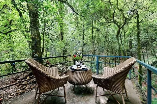 Premium Kır Evi