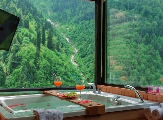 Queen Suite, Fireplace, Waterfall View, Jakuzi