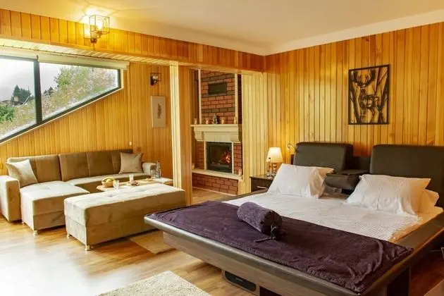 Queen Suite, Fireplace, Waterfall View, Jakuzi