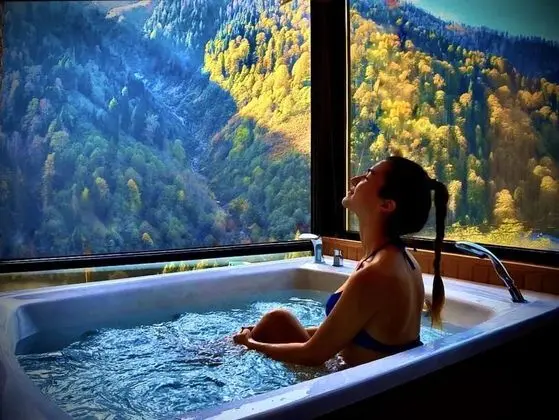 Queen Suite, Fireplace, Waterfall View, Jakuzi