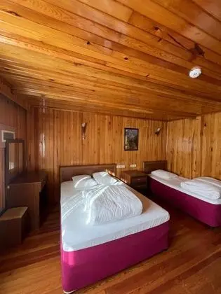 Çift Kişilik, Dağ Manzaralı