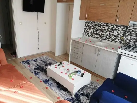 Standard Apart Daire, 1 Yatak Odası