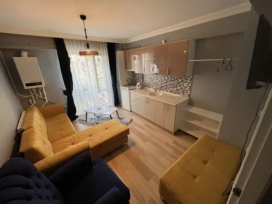 Standard Apart Daire, 1 Yatak Odası