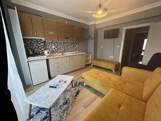 Standard Apart Daire, 1 Yatak Odası