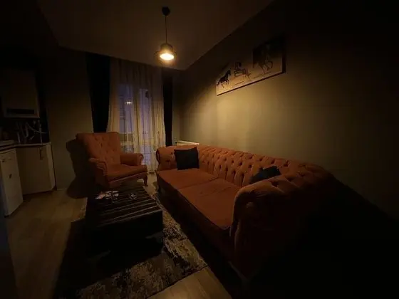 Standard Apart Daire, 1 Yatak Odası