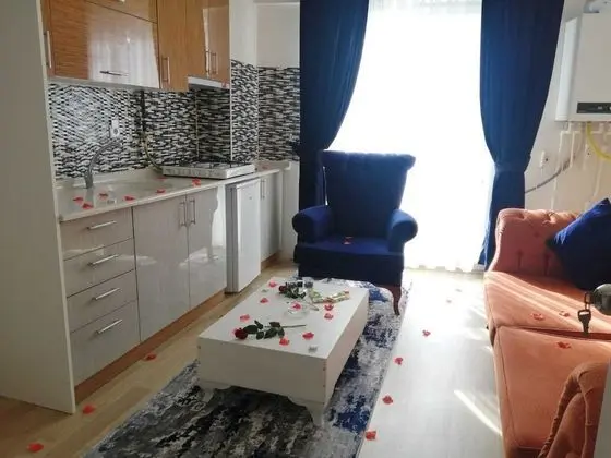 Standard Apart Daire, 1 Yatak Odası