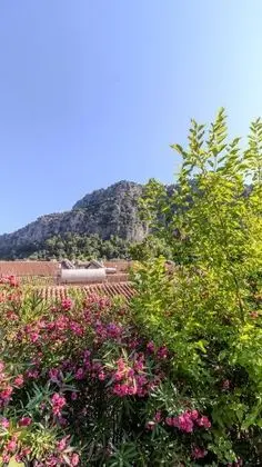 https://images.odamax.com/img/1920x1080/odamax/image/upload/Aydos_Hotels_Breeze_Restaurant_202606201136326_IMG_8772.jpg