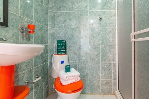 Superior Tek Büyük Yataklı Oda