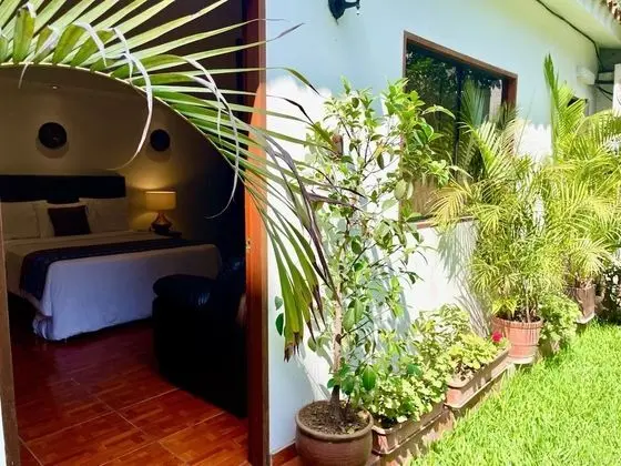 Garden Suite