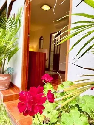 Garden Suite