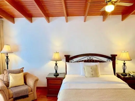 Junior Tek Büyük Yataklı Oda, 1 Büyük (Queen) Boy Yatak, Balkon, Bahçe Manzaralı