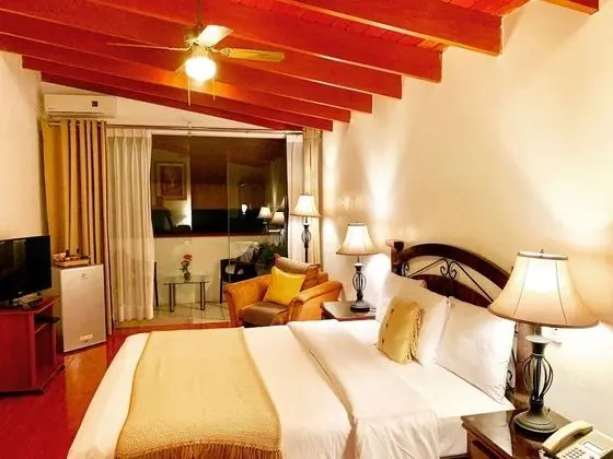 Junior Tek Büyük Yataklı Oda, 1 Büyük (Queen) Boy Yatak, Balkon, Bahçe Manzaralı