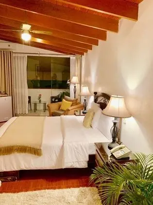 Junior Tek Büyük Yataklı Oda, 1 Büyük (Queen) Boy Yatak, Balkon, Bahçe Manzaralı