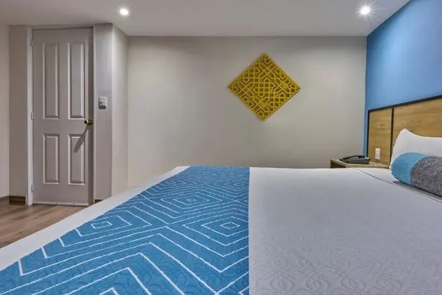 Superior Tek Büyük Yataklı Oda