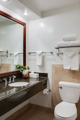 Executive Suite, 1 King Bed with Sofa Bed