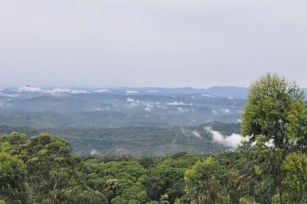 Süit, Tepe Manzaralı