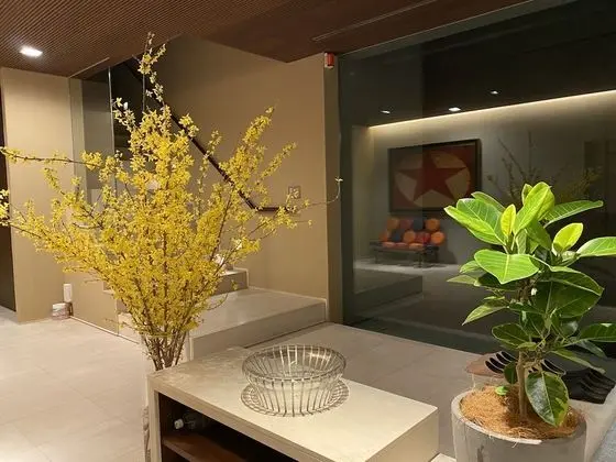 Ev, Sigara İçilmez (Azabu Modern)