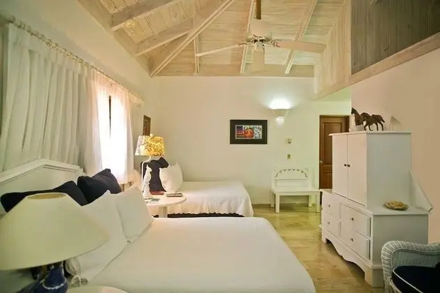 Villa, 1 En Büyük (King) Boy Yatak, Sigara İçilmez