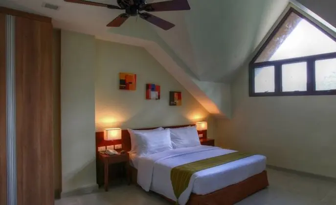 Çatı Katı (Loft), 1 Yatak Odası