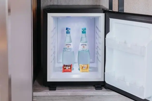 Mini buzdolabı
