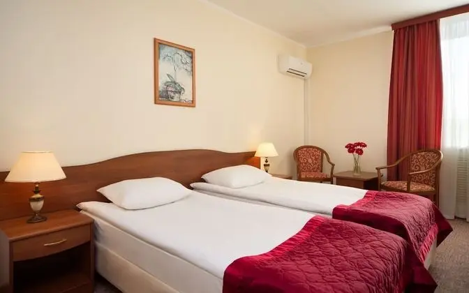Superior Tek Büyük veya İki Ayrı Yataklı Oda