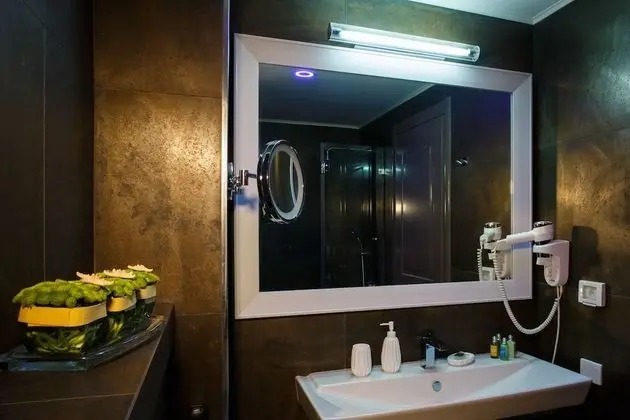 Business Tek Büyük veya İki Ayrı Yataklı Oda, Şehir Manzaralı