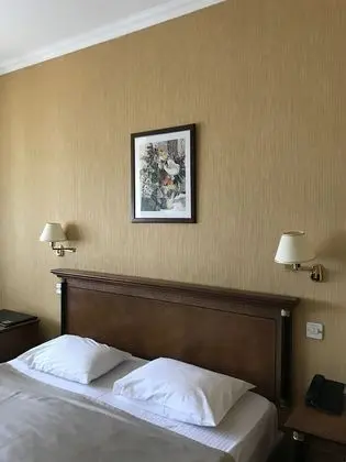 Standard Tek Büyük Yataklı Oda, Sigara İçilmez