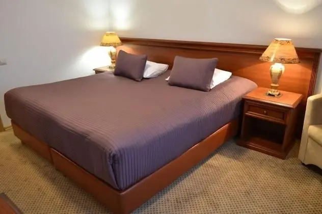 Superior Tek Büyük Yataklı Oda