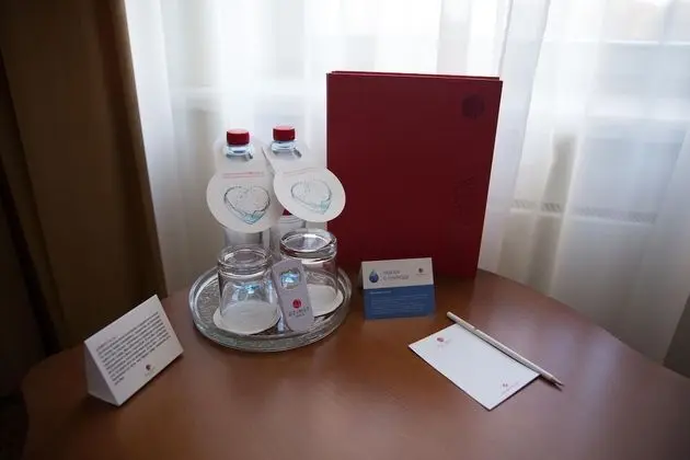 Superior Tek Büyük Yataklı Oda