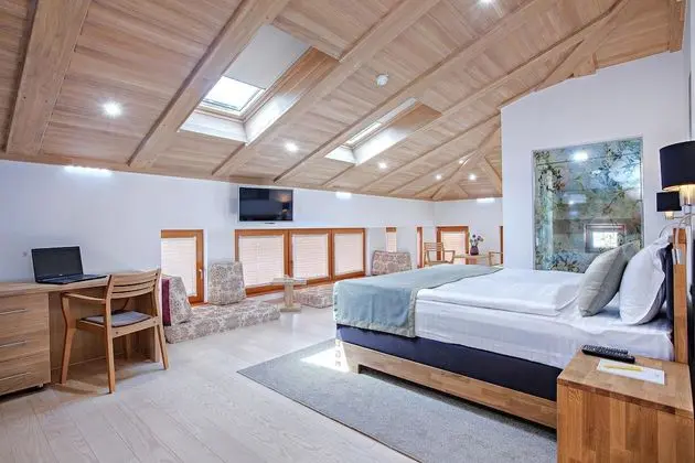 Junior Stüdyo Süit, 1 Yatak Odası, Şehir Manzaralı