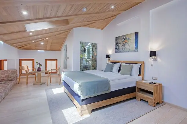 Junior Stüdyo Süit, 1 Yatak Odası, Şehir Manzaralı