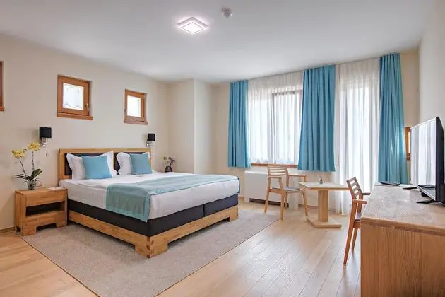 Standard King Room, City view