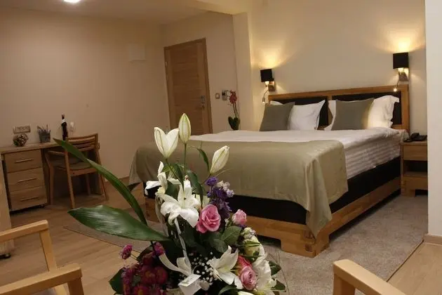 Standard King Room, City view